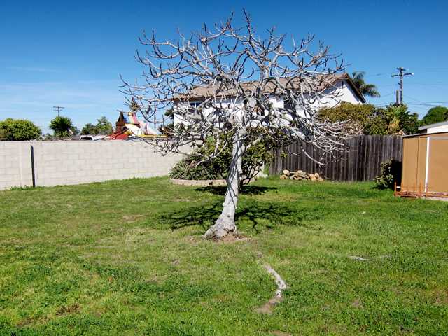 1624 Kraft St, Oceanside, CA 92058 photo 1