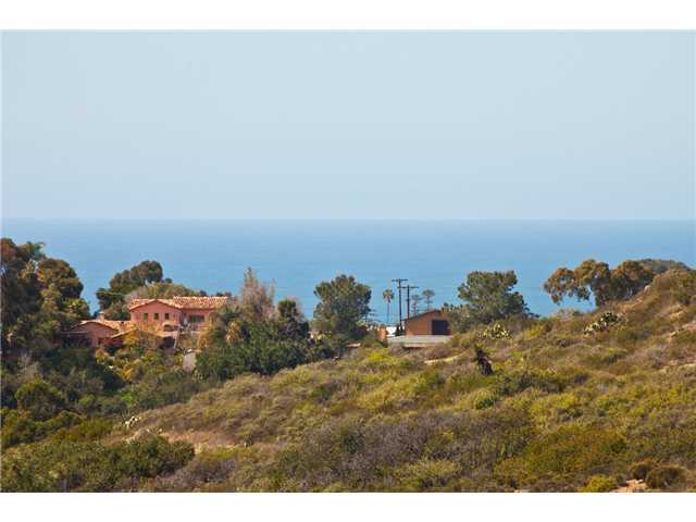 1420 Lauren Ct, Encinitas, CA 92024 photo 12