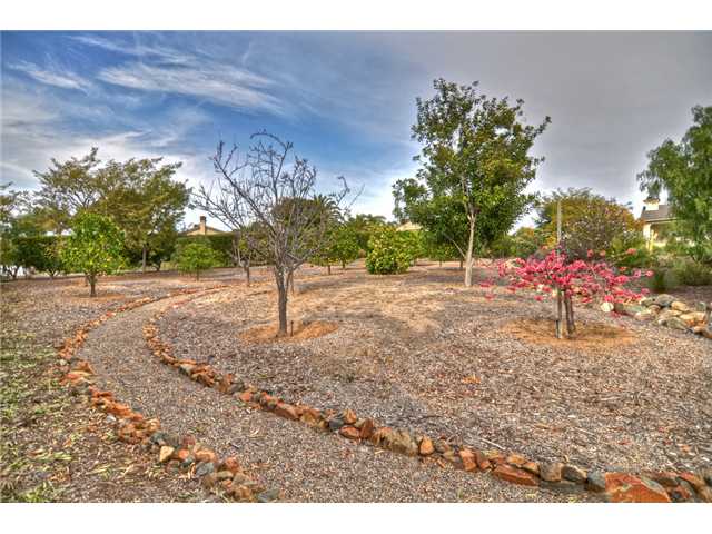 416 Bridoon Terrace Ter, Encinitas, CA 92024 photo 11