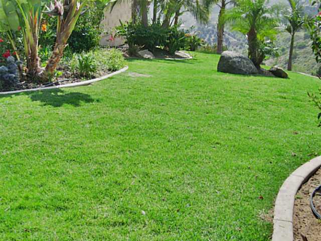 2453 Vern Dr, Fallbrook, CA 92028 photo 22