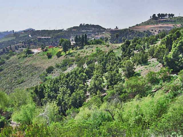 2453 Vern Dr, Fallbrook, CA 92028 photo 21
