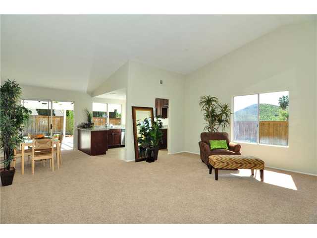 10141 Los Ranchitos Rd, Lakeside, CA 92040 photo 15