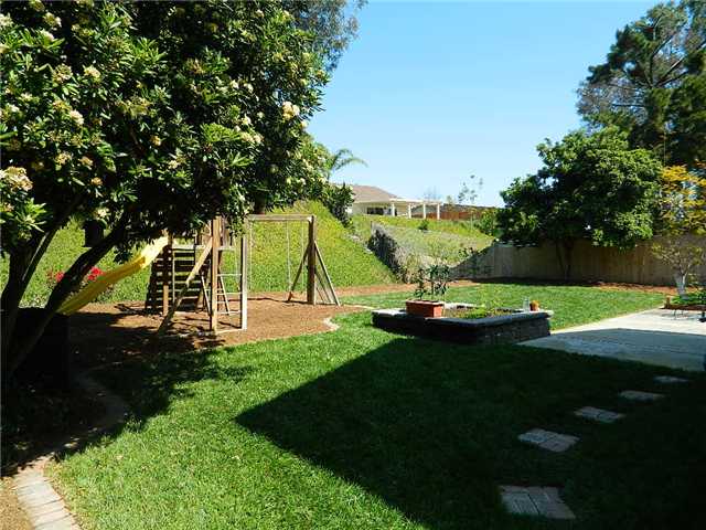 1414 Pegaso St, Encinitas, CA 92024 photo 23