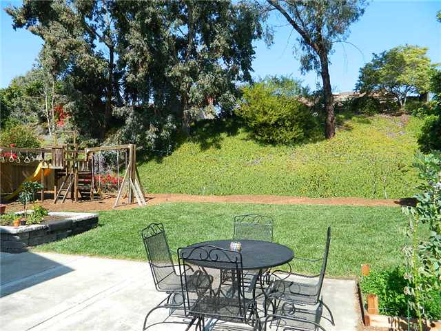 1414 Pegaso St, Encinitas, CA 92024 photo 24