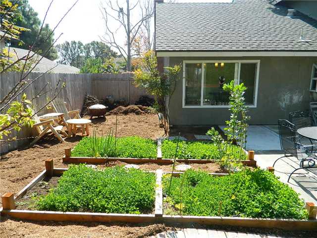 1414 Pegaso St, Encinitas, CA 92024 photo 13