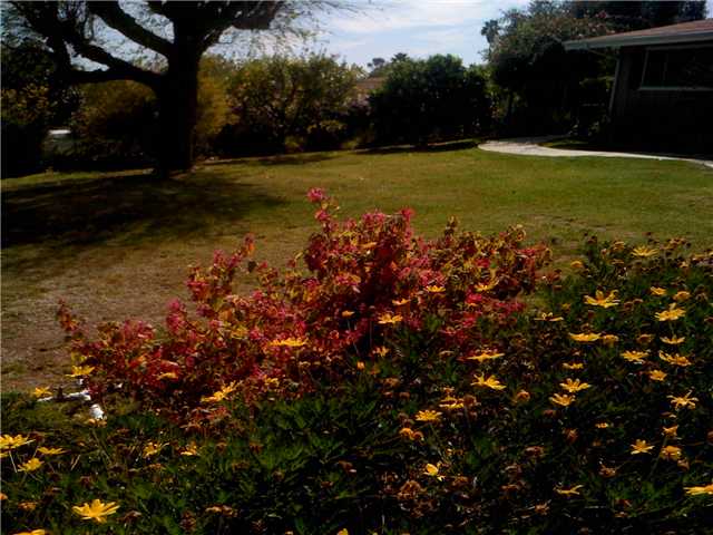 816 Via Alegre, Fallbrook, CA 92028 photo 19