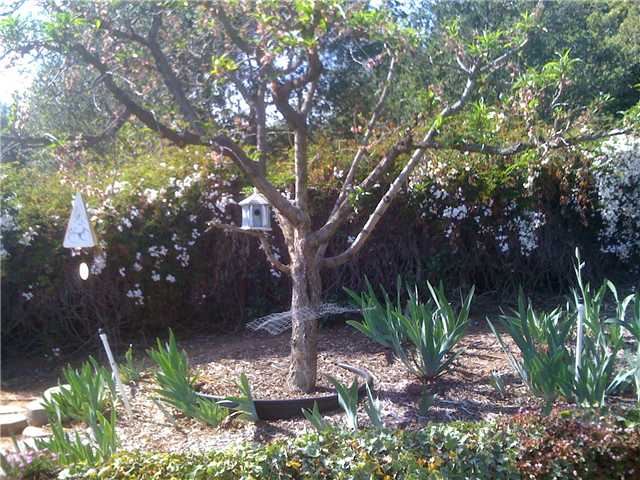 816 Via Alegre, Fallbrook, CA 92028 photo 6