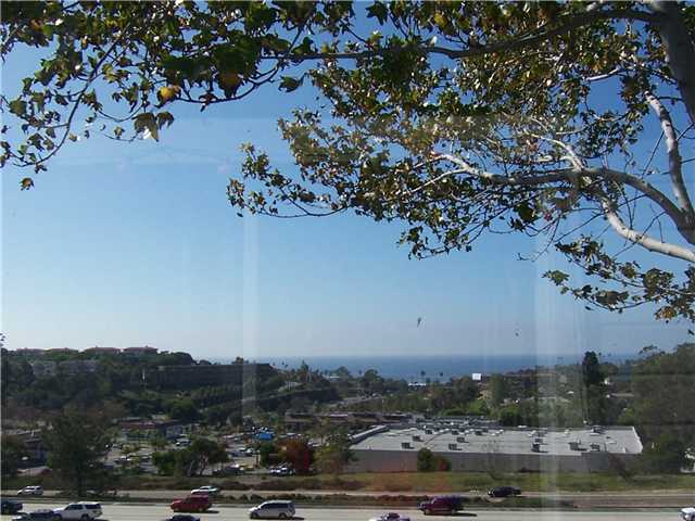 173 Mangano Cir, Encinitas, CA 92024 photo 12
