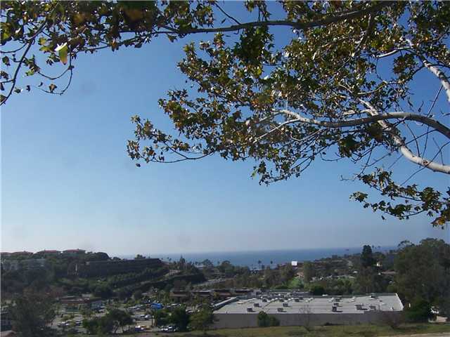 173 Mangano Cir, Encinitas, CA 92024 photo 1
