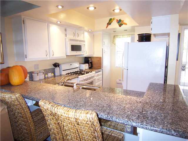 173 Mangano Cir, Encinitas, CA 92024 photo 9