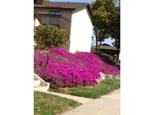 10101 Carefree Dr, Santee, CA 92071 photo 3