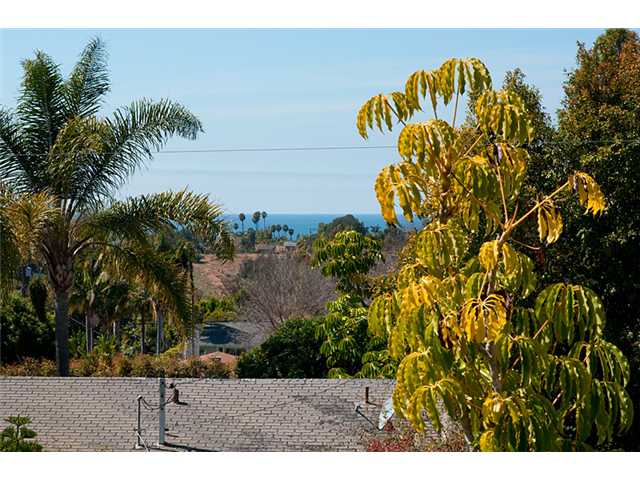 1585 Burgundy Rd, Encinitas, CA 92024 photo 25