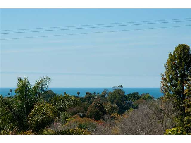 1585 Burgundy Rd, Encinitas, CA 92024 photo 13