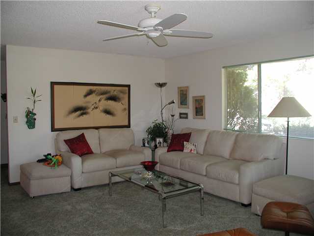 2931 Olive View Rd, Alpine, CA 91901 photo 2