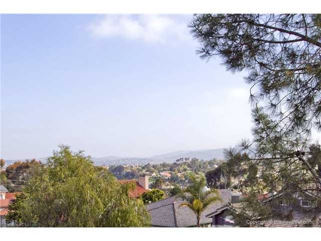 201 Via Palacio, Encinitas, CA 92024 photo 17