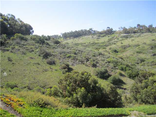 3535 Simsbury Ct, Carlsbad, CA 92010 photo 16