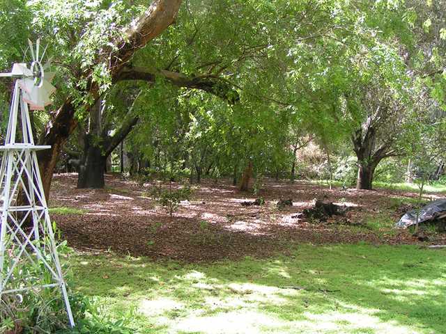 16538 Orchard Bend Rd, Poway, CA 92064 photo 5