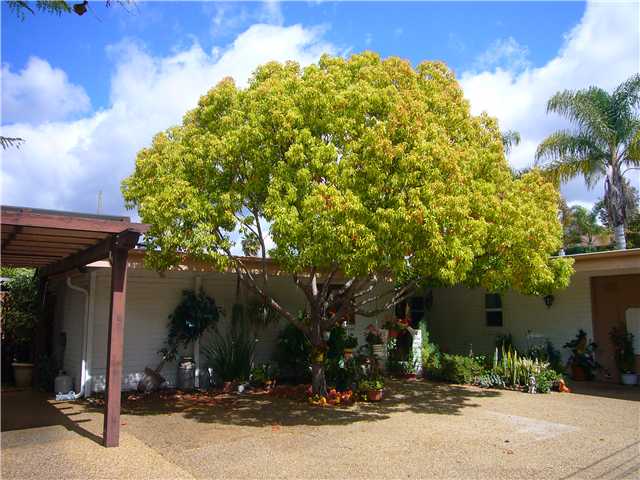 1330 E Fallbrook St, Fallbrook, CA 92028 photo 21
