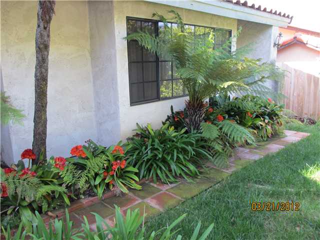3531 Ybarra Rd, Spring Valley, CA 91978 photo 4