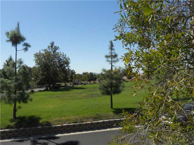 1672 Gam Lane Ln, Ramona, CA 92065 photo 16