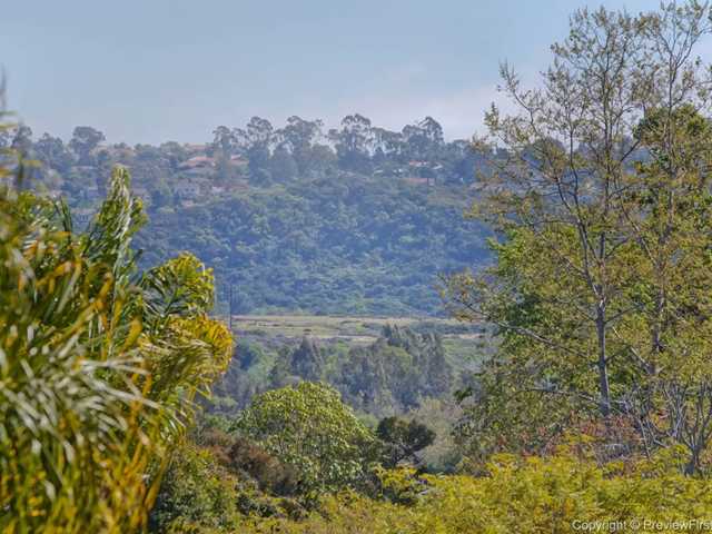 1799 Sienna Canyon Dr, Encinitas, CA 92024 photo 22