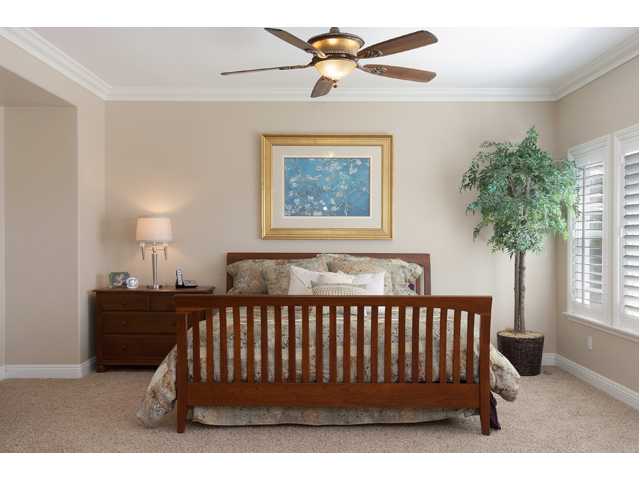 3591 Corte Castillo, Carlsbad, CA 92009 photo 15