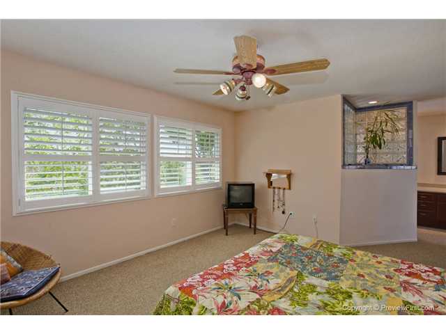 1819 Avenida Mimosa, Encinitas, CA 92024 photo 14