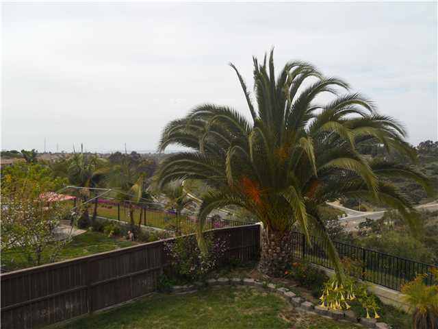 1201 Steiner Dr, Chula Vista, CA 91911 photo 14
