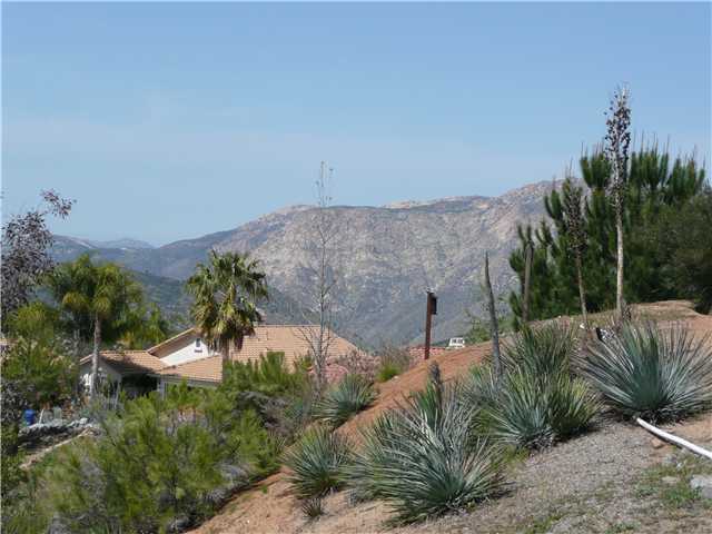 2767 Lobelia Rd, Alpine, CA 91901 photo 14
