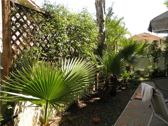 1209 Adobe Ter, Vista, CA 92081 photo 15