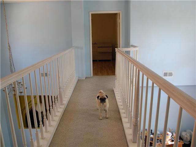 1209 Adobe Ter, Vista, CA 92081 photo 10