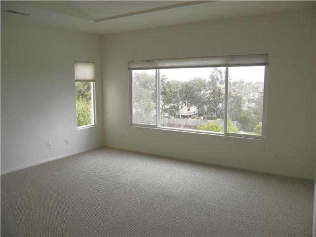 401 Hickoryhill Dr, Encinitas, CA 92024 photo 17