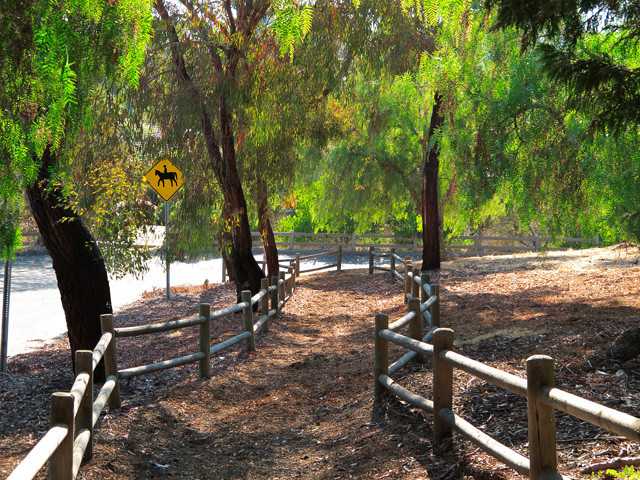 3177 Lone Jack Rd, Encinitas, CA 92024 photo 14