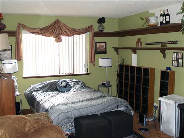5203 Japatul Spur, Alpine, CA 91901 photo 10