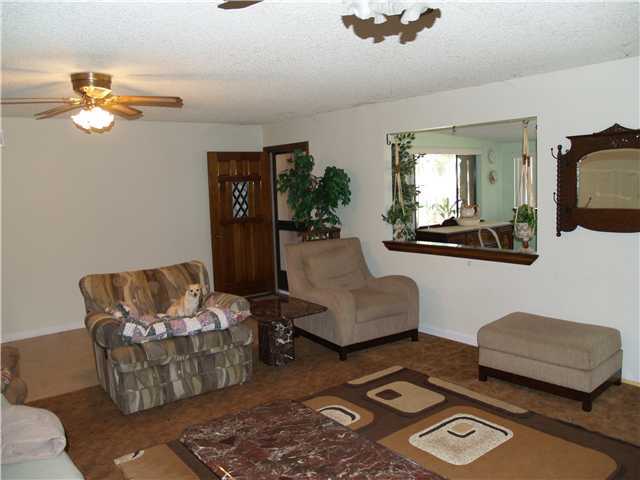 5203 Japatul Spur, Alpine, CA 91901 photo 4