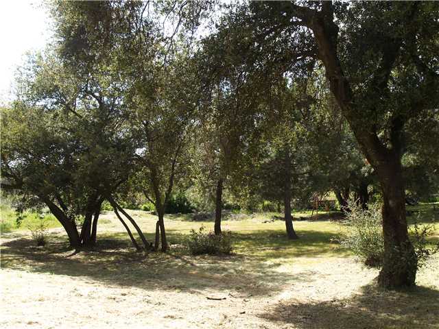 5203 Japatul Spur, Alpine, CA 91901 photo 13