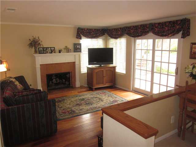 1622 Landquist Dr, Encinitas, CA 92024 photo 3