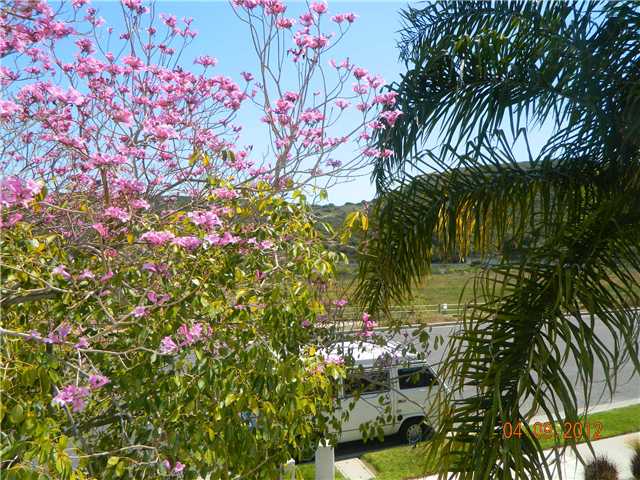 3705 Sky Haven Ln, Oceanside, CA 92056 photo 9
