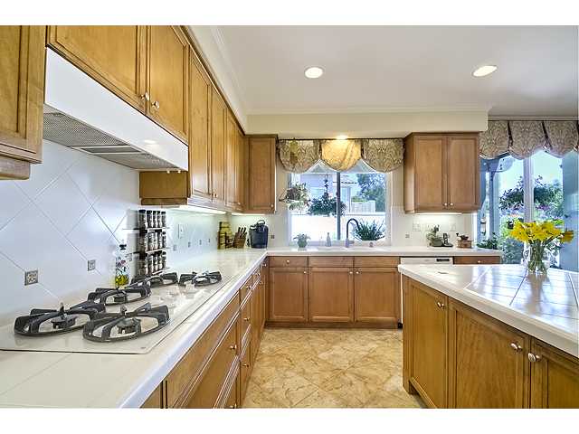 7389 Elegans Pl, Carlsbad, CA 92011 photo 9