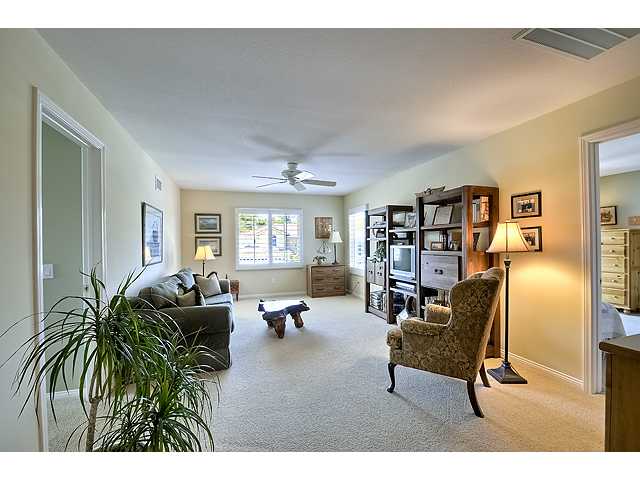 7389 Elegans Pl, Carlsbad, CA 92011 photo 10