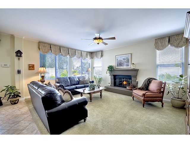 7389 Elegans Pl, Carlsbad, CA 92011 photo 6