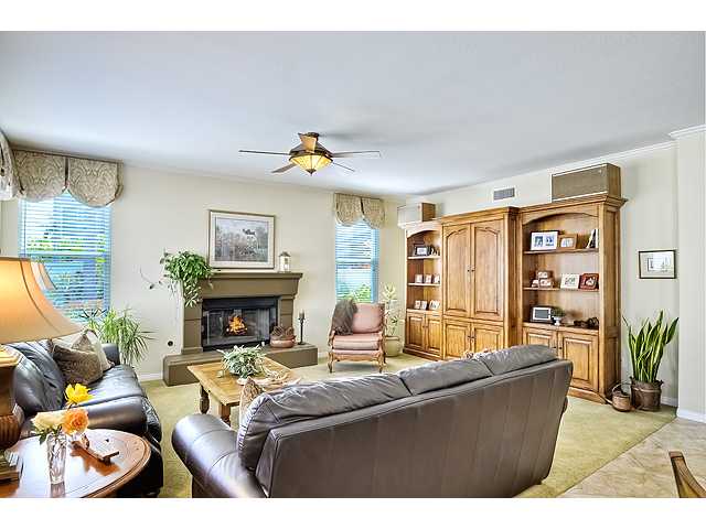 7389 Elegans Pl, Carlsbad, CA 92011 photo 7