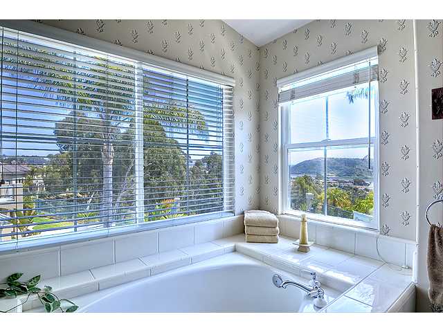 7389 Elegans Pl, Carlsbad, CA 92011 photo 15