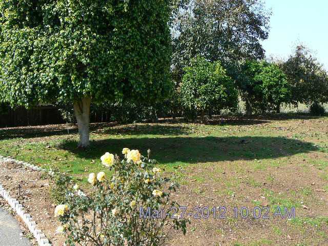 1726 E Fallbrook St, Fallbrook, CA 92028 photo 15