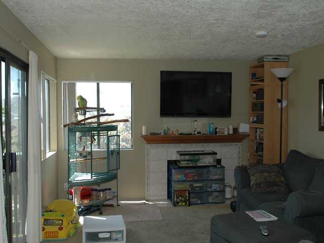3039 Chipwood Ct, Spring Valley, CA 91978 photo 6