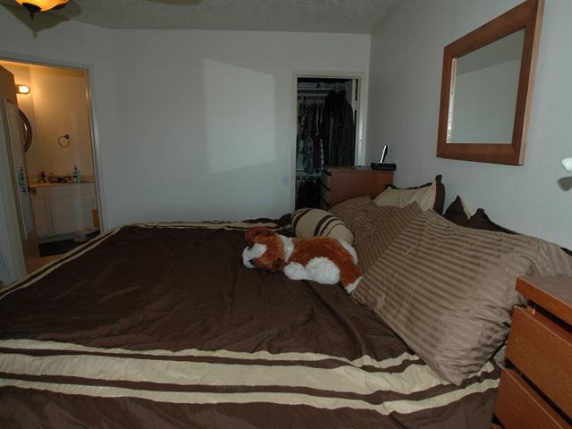 3039 Chipwood Ct, Spring Valley, CA 91978 photo 9
