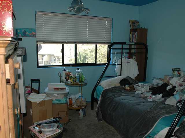 3039 Chipwood Ct, Spring Valley, CA 91978 photo 5