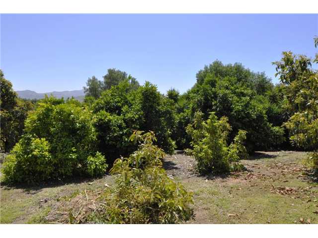 3107 Summit Dr, Escondido, CA 92025 photo 25