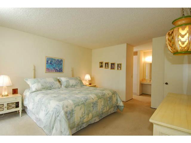377 Willowspring Dr, Encinitas, CA 92024 photo 14