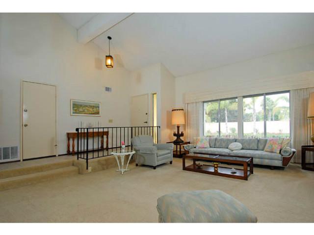 377 Willowspring Dr, Encinitas, CA 92024 photo 5